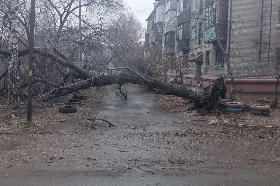 Ураган в Барнауле срывал крыши и рушил стены домов (фото) Ураган в Барнауле срывал крыши и рушил стены домов (фото)