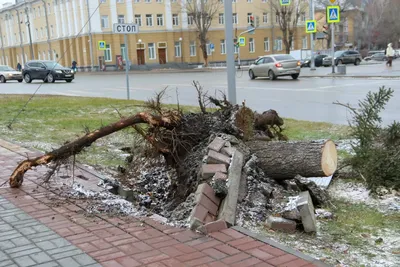 Как выглядят последствия жуткого урагана в Барнауле. Фото - Толк 20.11.2023