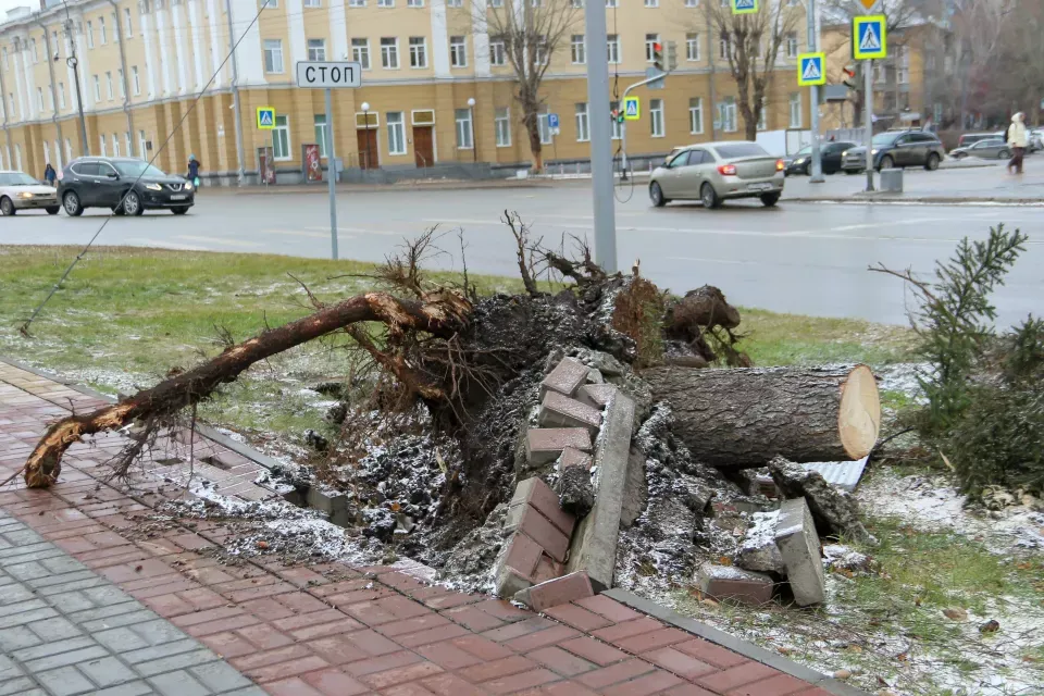 Как выглядят последствия жуткого урагана в Барнауле. Фото - Толк 20.11.2023 Как выглядят последствия жуткого урагана в Барнауле. Фото - Толк 20.11.2023