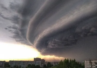 Ураган в Алтайском крае 19 ноября 2023: последствия, фото и видео урагана в  Алтайском крае 19 ноября 2023 - KP.RU