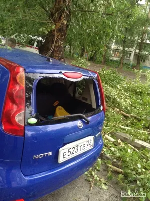 В Барнауле ввели режим ЧС и устраняют последствия урагана | Алтайский край  | ФедералПресс