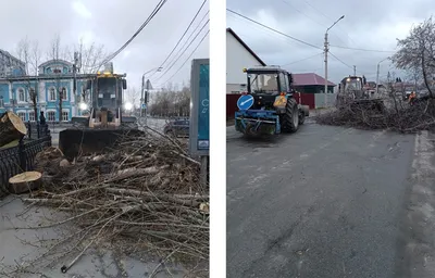 В Барнауле выросло число пострадавших от ураганного ветра | ИА Красная Весна