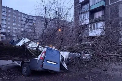 Шторм «Надя» разметал тетраподы на молу в Балтийске (видео) - Новости  Калининграда - Новый Калининград.Ru