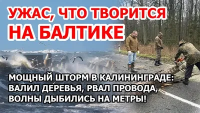 Апокалипсис завтра: что будет с Калининградской областью из-за глобального  потепления? (видео)