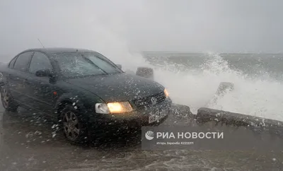 Ураган в Калининградской области: погибли люди, повалены десятки деревьев,  без света 40 тыс человек - KP.RU