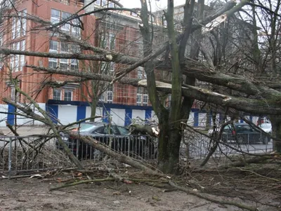 Во второй половине дня 24 июня в Калининграде ожидают грозу и ураган |  ОБЩЕСТВО | АиФ Калининград