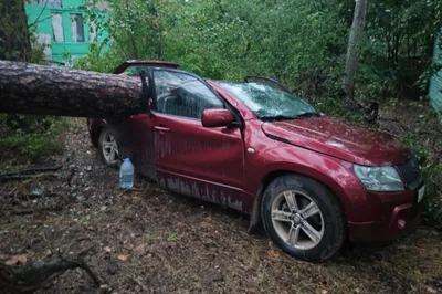 Ураган разгромил базу отдыха в Лаишево, попортил машины и оборвал ЛЭП |  ПРОИСШЕСТВИЯ | АиФ Казань