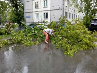 Фото: Ураган-сарай, кофейня, 5, Вахитовский район, территория Кремль, Казань  — Яндекс Карты