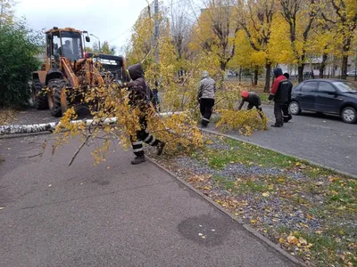 Банная печь Гефест Искандер ЗК 25 (M) Ураган купить в Казани - магазин  Печной Центр