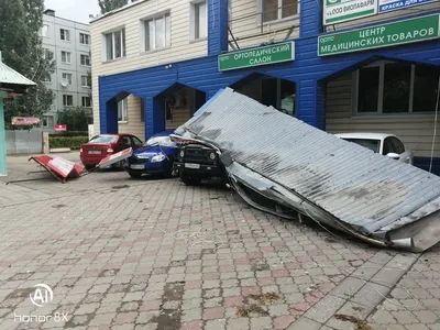 В Тольятти из-за урагана дерево раздавило домик с людьми на турбазе - KP.RU