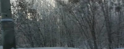 Ураган в Тольятти фото фотографии