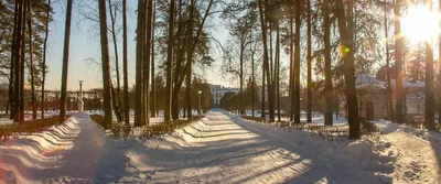 Усадьба «Архангельское» на старых фотографиях