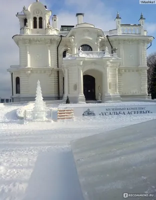 Тамбовские усадьбы Асеевых, видео с дрона