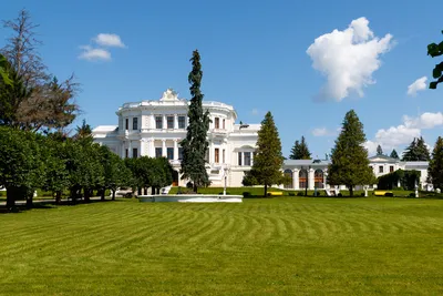 Марьино (Усадьба Барятинских), Курск. Санаторий, официальный сайт, фото,  видео, как добраться, цены 2024 – Туристер.Ру