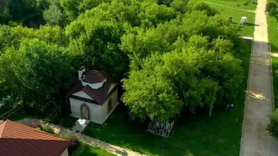 Усадьба \"Скорняково-Архангельское\" 2024 | ВКонтакте