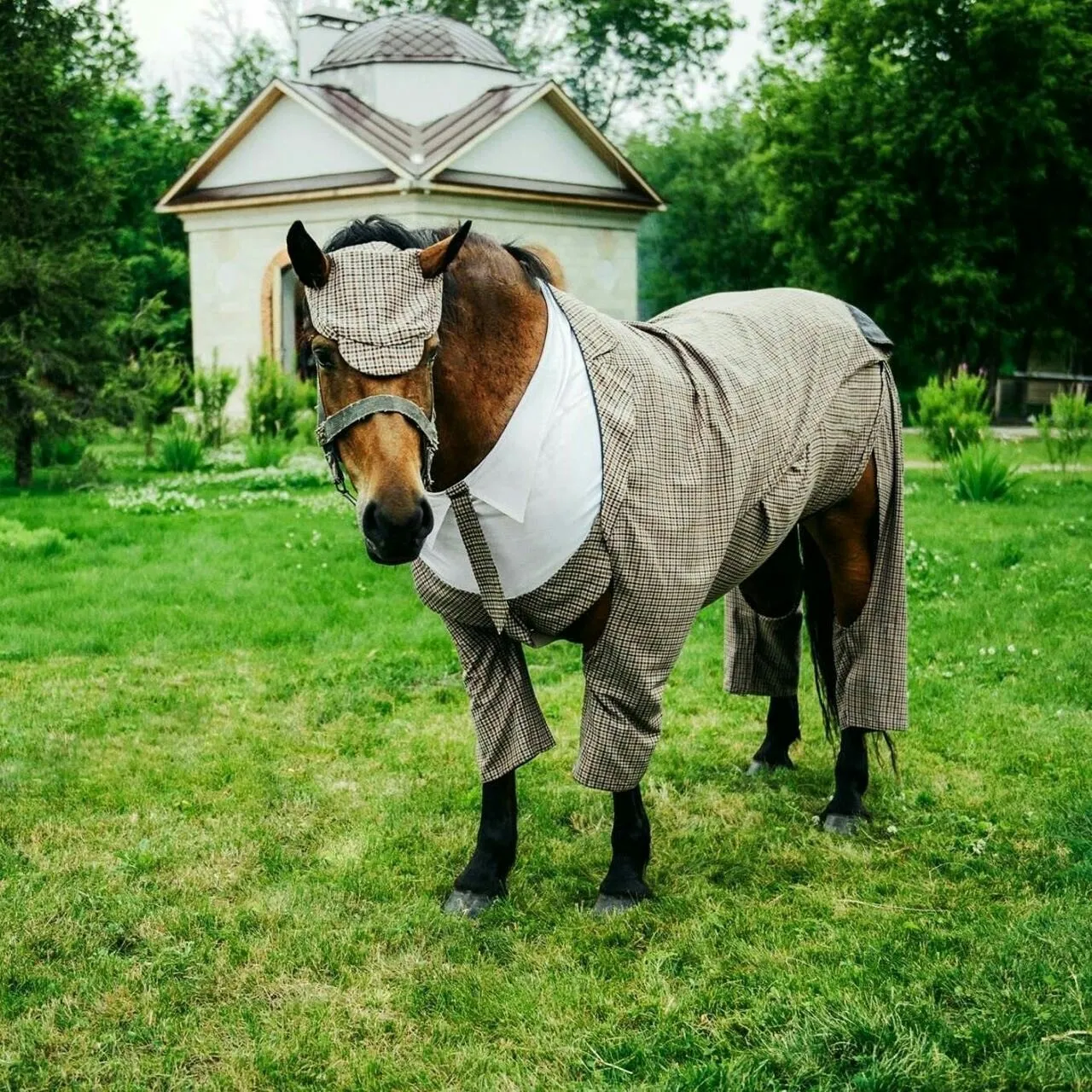 ГОСТИНИЦА УСАДЬБА СКОРНЯКОВО-АРХАНГЕЛЬСКОЕ СКОРНЯКОВО 4* (Россия) - от 8115 RUB | NOCHI ГОСТИНИЦА УСАДЬБА СКОРНЯКОВО-АРХАНГЕЛЬСКОЕ СКОРНЯКОВО 4* (Россия) - от 8115 RUB | NOCHI