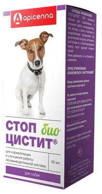 Ушной клещ у кошек: симптомы, лечение, профилактика - SUPERPET