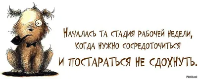 Капуста устала юмор, карикатура, шарж…» — создано в Шедевруме