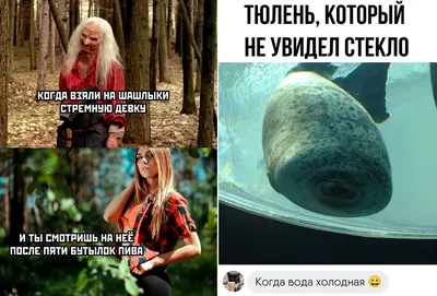 среда#доброеутро #юмор | TikTok