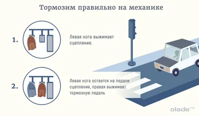 Глава 27 Назначение, устройство и типы подвесок автомобиля - Учебник по  строению авто