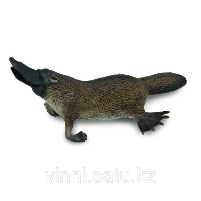 Утконос фигурка животного Collecta 5101020 купить за 369 ₽ в  интернет-магазине Wildberries