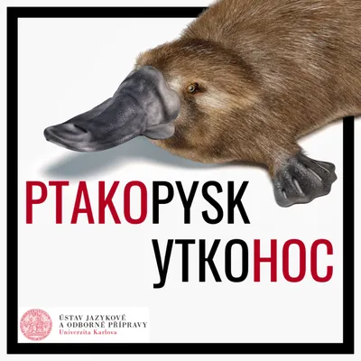 Schleich 14840 Фигурка Утконос - купить с доставкой по выгодным ценам в  интернет-магазине OZON (256098659)