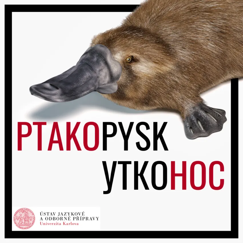 Schleich 14840 Фигурка Утконос - купить с доставкой по выгодным ценам в интернет-магазине OZON (256098659) Schleich 14840 Фигурка Утконос - купить с доставкой по выгодным ценам в интернет-магазине OZON (256098659)