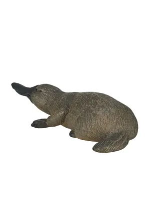 С анимацией Утконос 3D модель - Скачать Животные на 3DModels.org