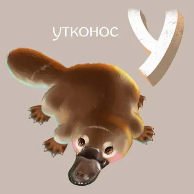 ручной литый аустралийский утконос Иллюстрация вектора - иллюстрации  насчитывающей характер, природа: 230440044