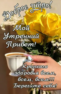 Мой Утренний Привет! Доброго утра! ☕🌹🌹🌹 | Доброе утро, Фотографии для  мотивации, Отбеливание кожи