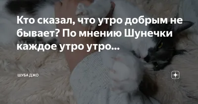 Что сегодня на завтрак? - РИА Новости, 18.10.2011