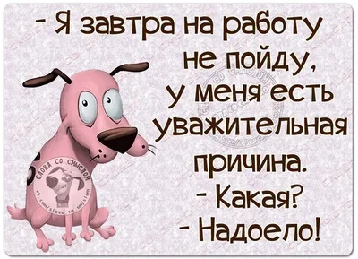 Просыпаешься рано утром на работу: \"За что?! Сил нет!\" Просыпаешься рано  утром в аэропорт: веселый, бодрый, полон сил … | Веселые картинки,  Случайные факты, Энергия