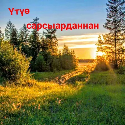 Үөрүйэххит үксээтин, Сатыыргыт хаҥаатын, Билэр мэйиилэниҥ Үүммүт үтүө  күнүнэн! | ВКонтакте