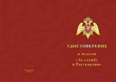 9 мая 2014 года. Парад Победы на площади Свободы в Казани | Art16.ru —  Культура и Искусство в Татарстане