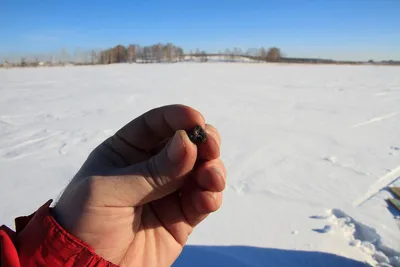 File:Chebarkul meteorite sample.jpg - Wikipedia