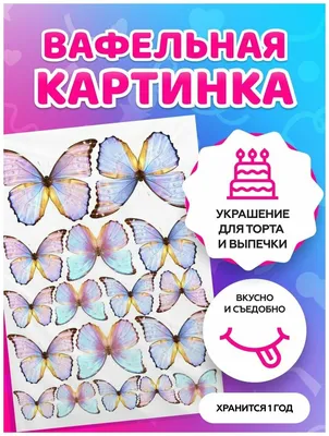 KONFINETTA Съедобные вафельные картинки набор «Мир полон чудес», А4, 12 шт.  купить оптом в Москве