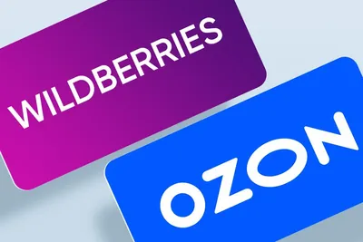 What is Wildberries | globaleyez