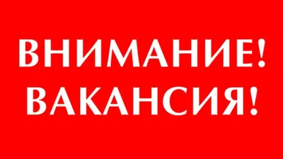 ВАКАНСИЯ ПРОДАВЕЦ-КОНСУЛЬТАНТ Требования: ✔️опыт работы в сфере продаж от 1  года ✔️грамотная речь ✔️дружелюбие и… | Instagram