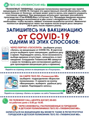 Вакцинация против гриппа в Краснодаре продлится до 15 ноября :: Krd.ru