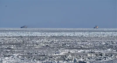 Чёрные угли, белые воротнички, золотые люди. Репортаж Vgudok из посёлка  Ванино в Хабаровском крае, где рельсы РЖД упираются в океан | Vgudok