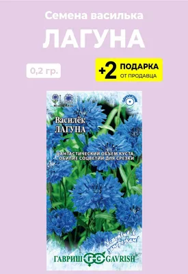 Васильки, Ольга Беляева – скачать книгу fb2, epub, pdf на ЛитРес