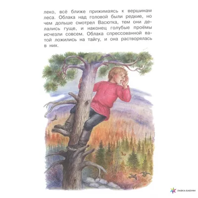 Васюткино озеро. Рассказы (Астафьев В.П.). ISBN: 978-5-17-159317-9 ➠ купите  эту книгу с доставкой в интернет-магазине «Буквоед» - 13630600