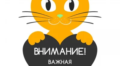 ВАЖНАЯ ИНФОРМАЦИЯ!