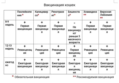 ВАЖНО! Уважаемые покупатели ЖИВЫХ цветов! Прочитайте эту информацию для  максимального продления жизни цветам!