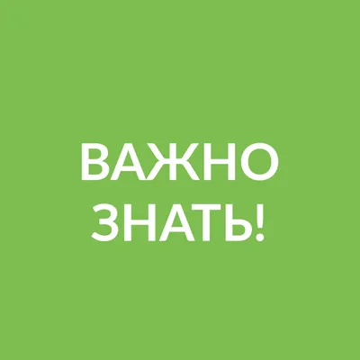 Важная информация для владельцев собак и кошек! - круглосуточная  ветеринарная клиника «Doctor Vet» в Ленинском районе Саратова