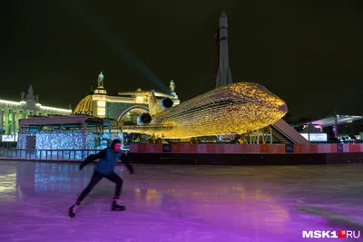 Зима на ВДНХ: что делать на главной выставке страны – The City