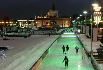 В Москве зимой более 500 тысяч человек посетили катки на ВДНХ - РИА  Новости, 19.03.2019