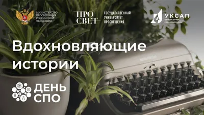 Книга Прекрасные мелочи, Вдохновляющие истории для тех, кто не знает, как  жить дальше - купить в ТД Эксмо, цена на Мегамаркет