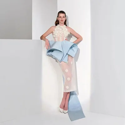 Фотография вечернего платья футляр для скачивания