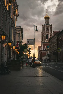 Сирень обыкновенная \"Вечерняя Москва\" ✓ купить саженцы в питомнике в Москве,  Туле, Белгороде